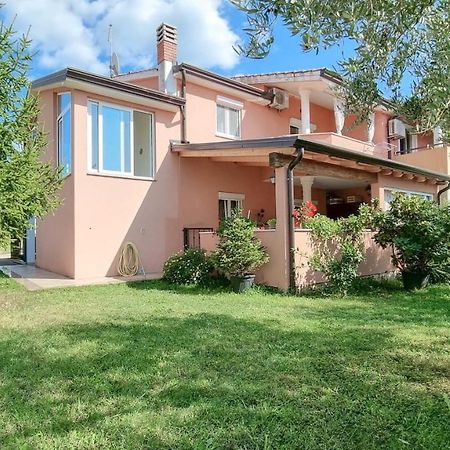 Stelia Apartment Novigrad Istria Exterior foto